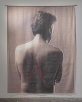 Untitled (DNA Backs) from The Jefferson Suite