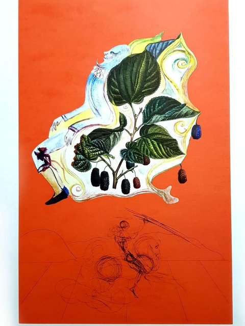 Salvador Dalí, ‘Original Lithograph "Flordali - Blackberries" by Salvador Dali’, 1969, Galerie Philia