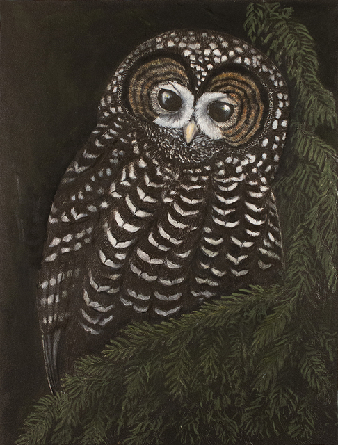 Tony Angell, ‘Ancient Forest Spotted Owl’, 2021, Drawing, Collage or other Work on Paper, Lithograph with hand painting, Foster/White Gallery