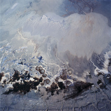 David Maisel