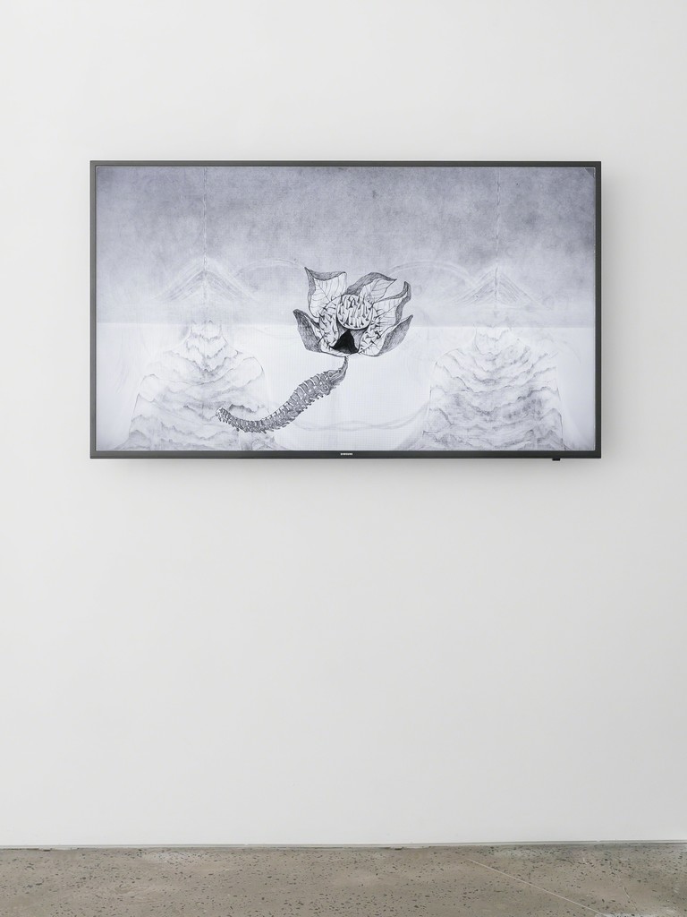 Seung Ae Lee, Becoming, 2017, pencil on paper, animation drawing, 10 mins, installation view Seung Ae Lee, Becoming, 2017, pencil on paper, animation drawing, 10 mins, installation view
