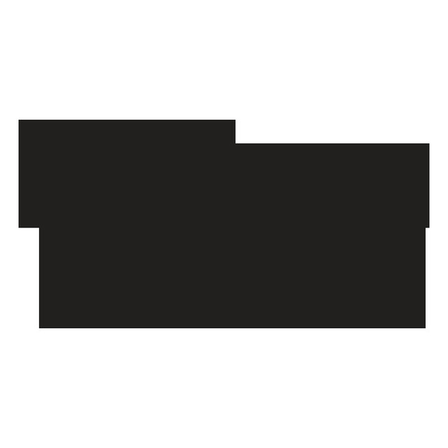 Twin Gallery logo