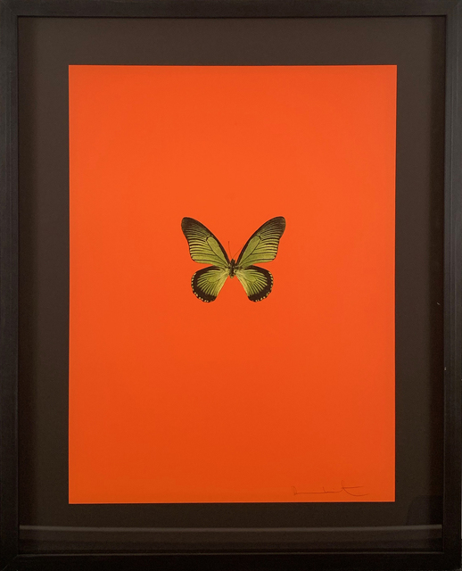 Damien Hirst, ‘Six Butterflies I’, 2011, DTR Modern Galleries