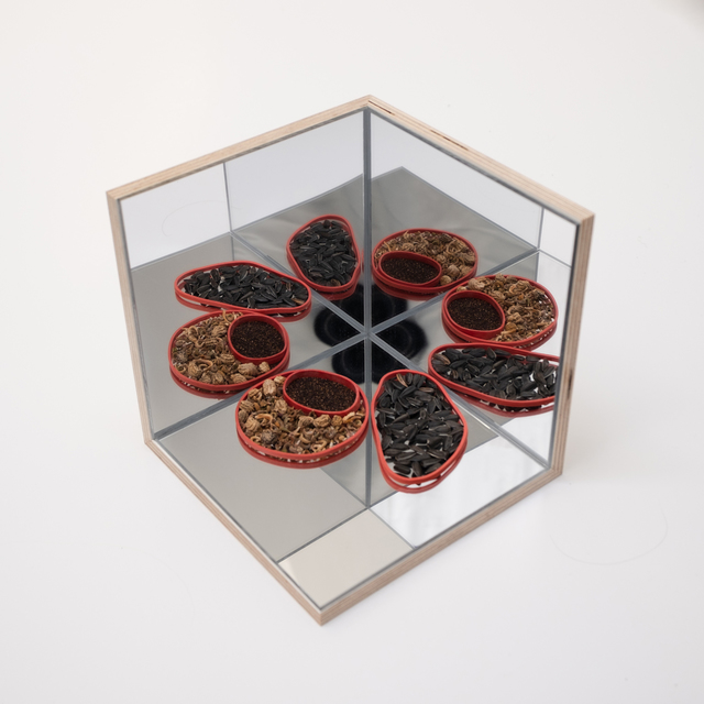 Audrey Cottin, ‘Mirror Box (#4)’, 2019, Installation, Wood, plexi mirror, glue and seeds, Tatjana Pieters