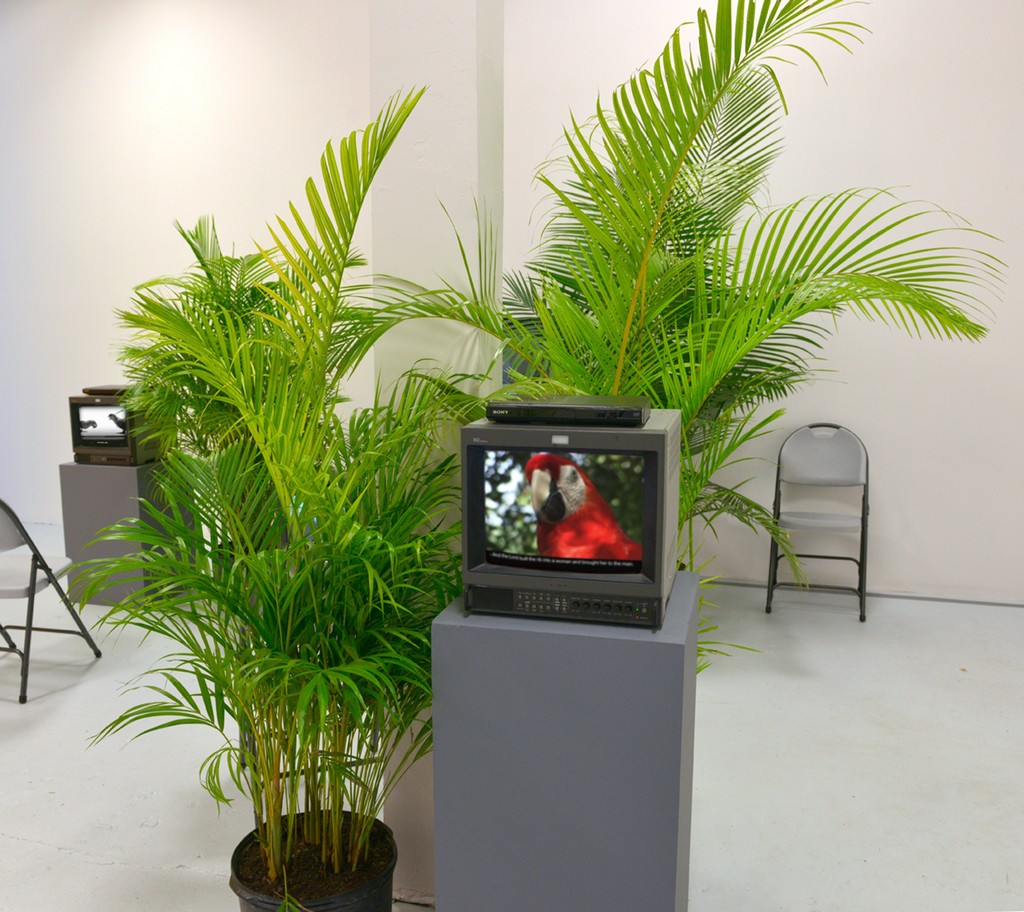 Genesis According to Parrots, installation view Genesis According to Parrots, installation view