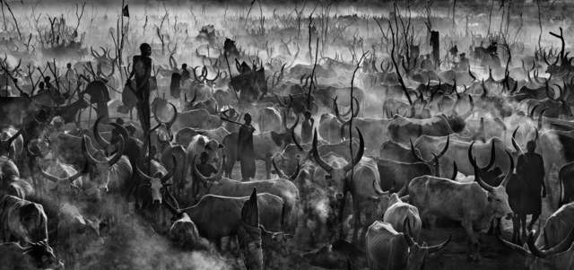 David Yarrow, ‘Mankind II (B&W)’, 2014, Maddox Gallery Gallery Auction