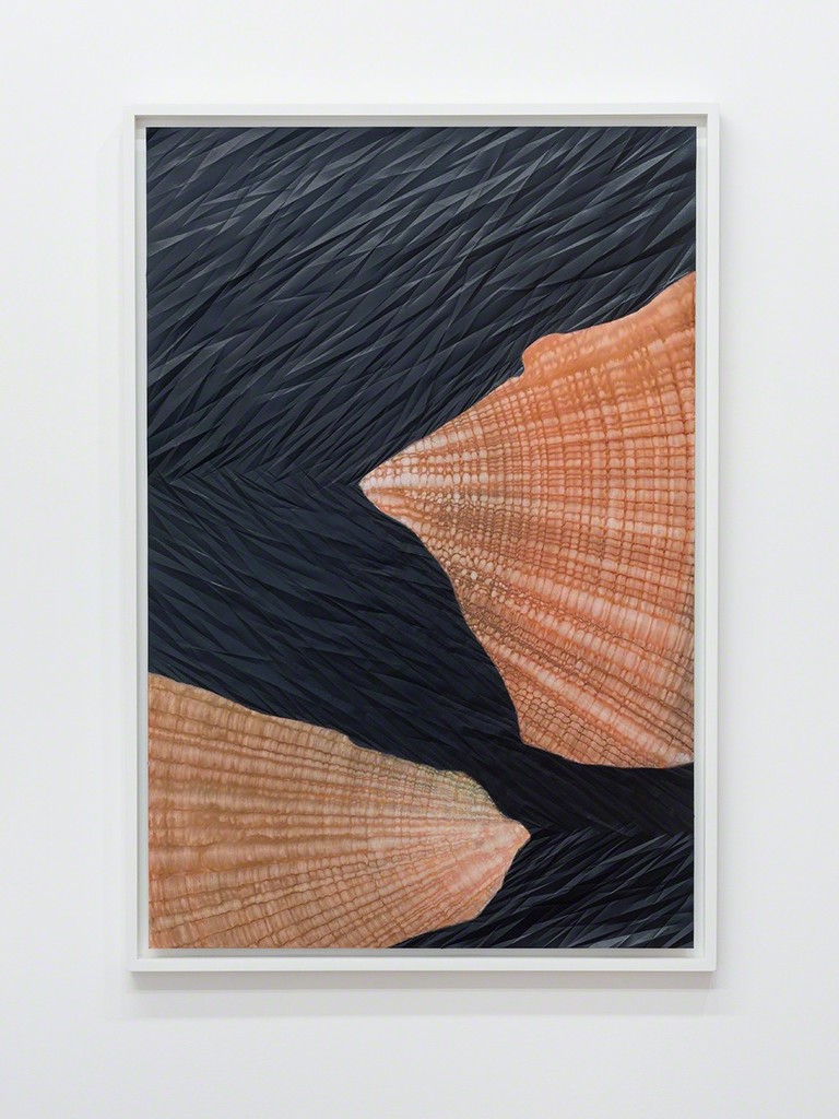 Sandeep Mukherjee, 'Untitled (Pincer 2)', 2012. Acrylic, acrylic ink and embossed drawing on duralene, 36 x 24 inches.
Sandeep Mukherjee, 'Untitled (Pincer 2)', 2012. Acrylic, acrylic ink and embossed drawing on duralene, 36 x 24 inches.