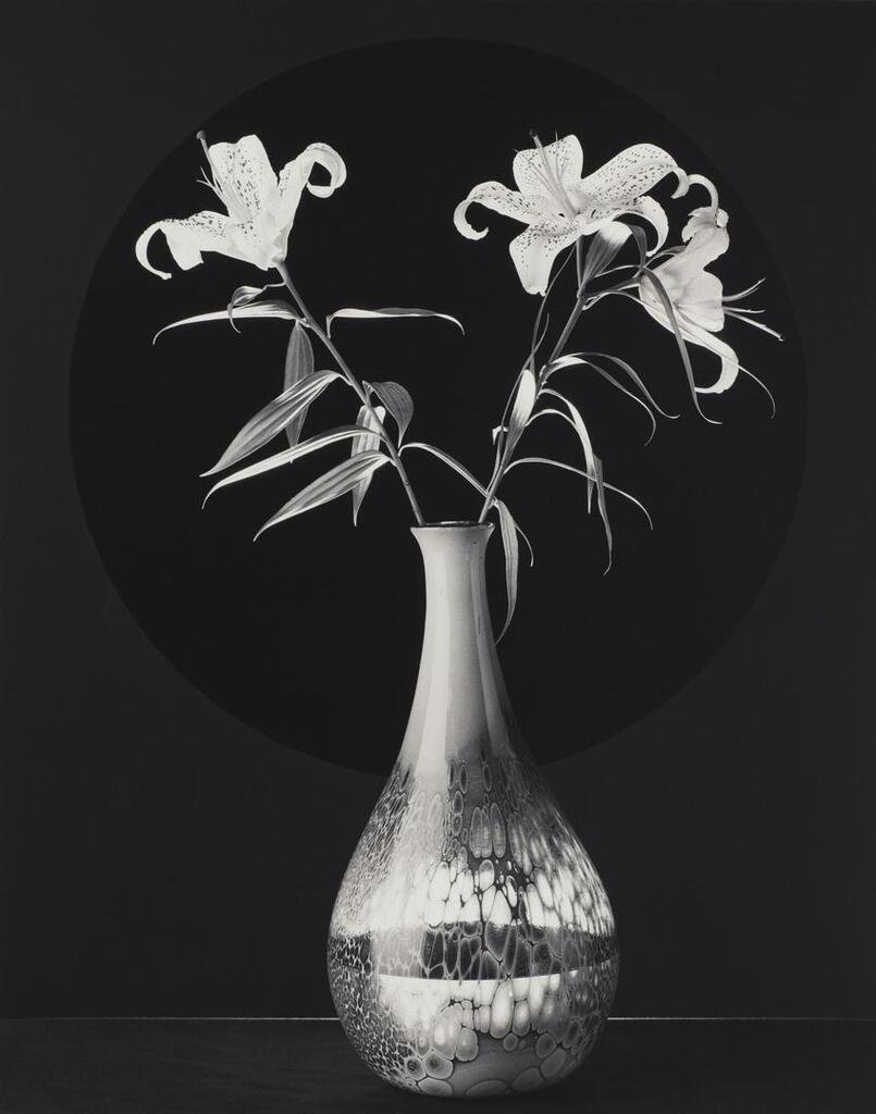 Robert Mapplethorpe - Lilies