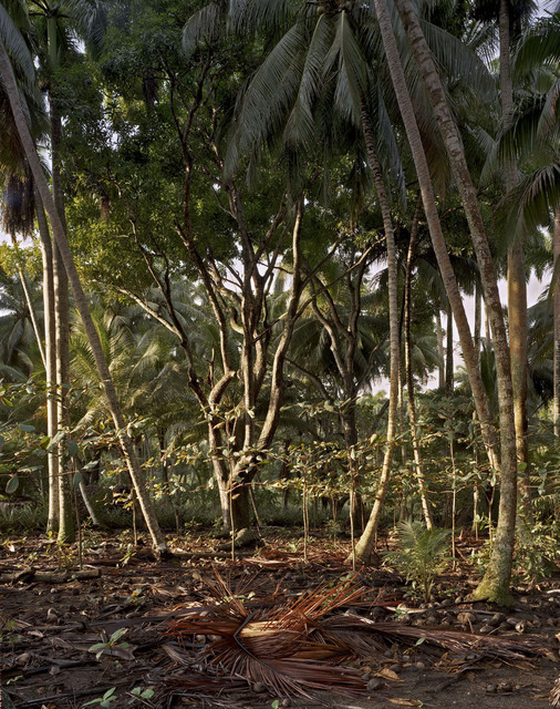 Andrew Moore, ‘Playa Duaba’, Yancey Richardson Gallery