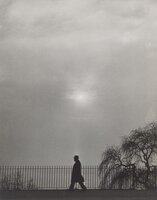 ”Januarsonne an der Elbe, Hamburg”