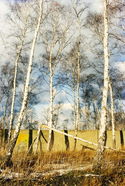 Jitka Hanzlová, ‘Untitled (North/South)’, 1998, Yancey Richardson Gallery
