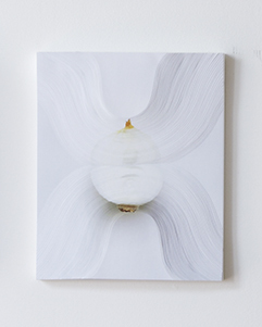 "Slicing the Onion No.003" Series 3 of 7, 2015 by Nerhol (Japan) "Slicing the Onion No.003" Series 3 of 7, 2015 by Nerhol (Japan)