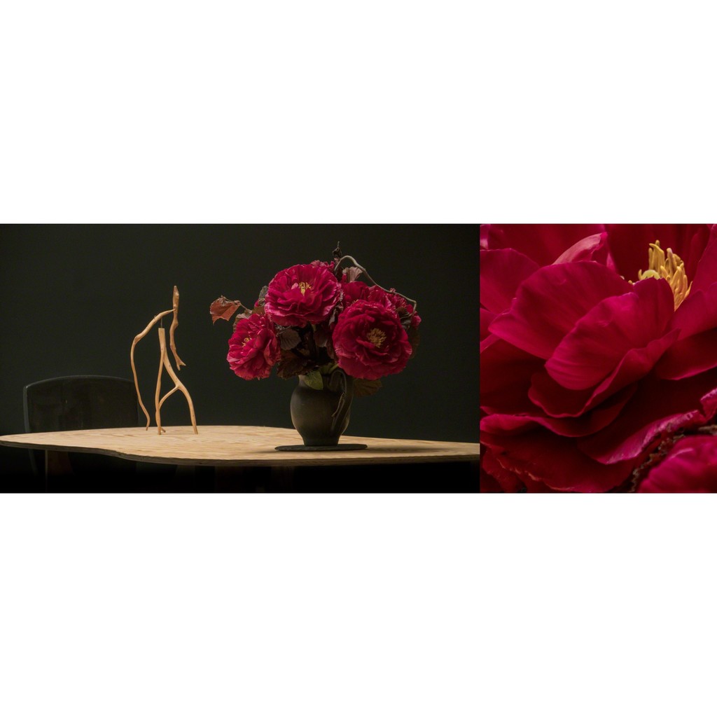 Composition #1.5 by Bella Meyer and Garret Linn - Fleurs Bella, Table and sculpture Jacques Jarrige. Photo Garret Linn Composition #1.5 by Bella Meyer and Garret Linn - Fleurs Bella, Table and sculpture Jacques Jarrige. Photo Garret Linn