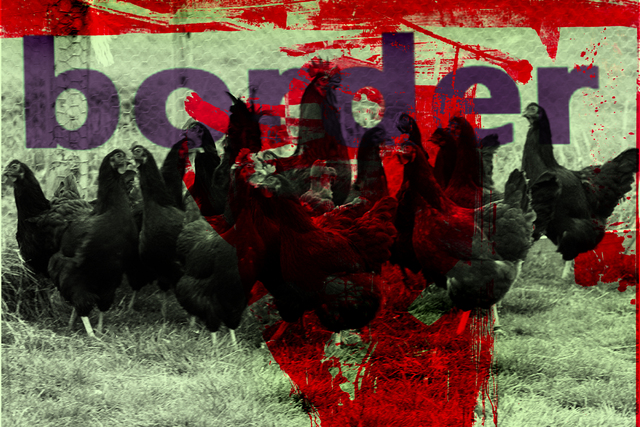 MICHEL TABANOU, ‘BORDER & HEN ’, 2019, Poulpik Gallery
