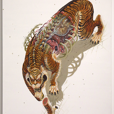 NYCHOS