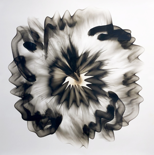 Dennis Lee Mitchell, ‘Untitled L’, 2020, Drawing, Collage or other Work on Paper, Smoke on paper, William Havu Gallery