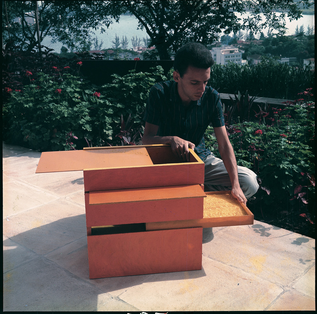 Hélio Oiticica, ‘B11 Box Bólide 9 (B11 Bólide caixa 9) at Rua Engenheiro Alfredo Duarte, Rio de Janeiro’, 1964, Whitney Museum of American Art