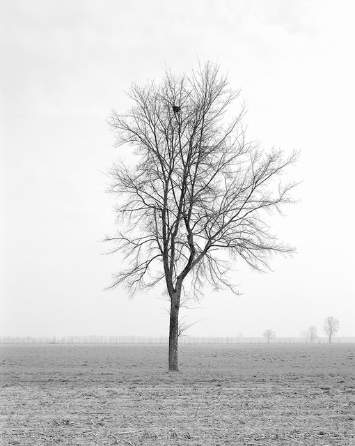 Paola De Pietri, ‘Untitled 013, Questa Pianura series’, 2004, Galerie Les filles du calvaire