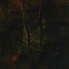 Arno Schidlowski