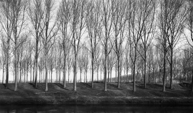 Frank Hallam Day, ‘Damme 2’, 1998, Photography, Archival pigment print, Addison/Ripley Fine Art