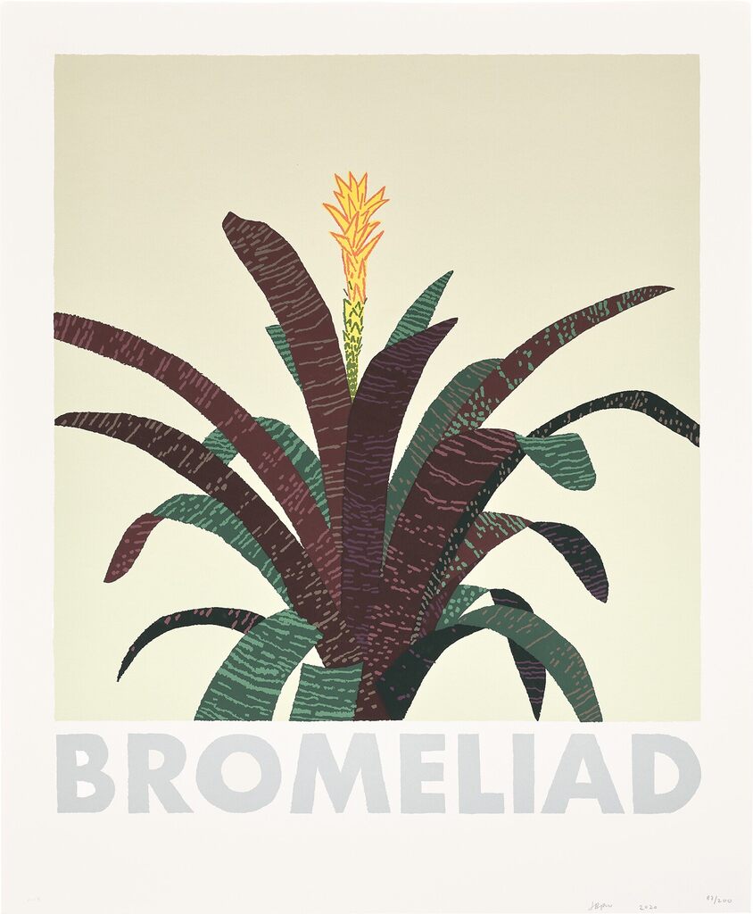 Jonas Wood - Bromeliad