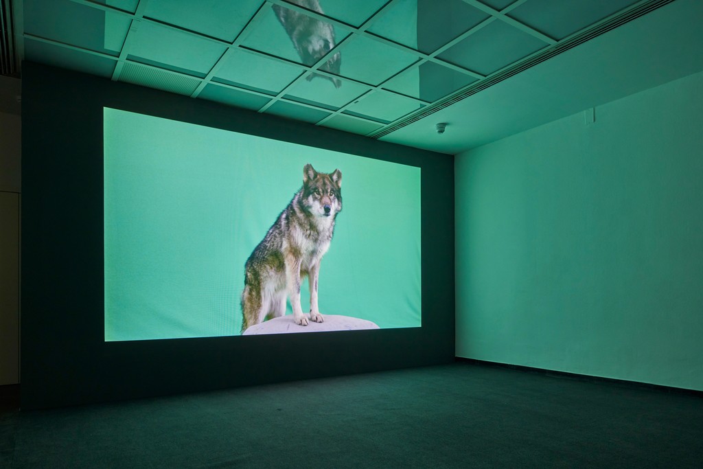 Jonas Brinker, „Standing Still“, 2019, Installationview Frankfurter Kunstverein 2019, Photo: Norbert Miguletz, © Frankfurter Kunstverein Jonas Brinker, „Standing Still“, 2019, Installationview Frankfurter Kunstverein 2019, Photo: Norbert Miguletz, © Frankfurter Kunstverein