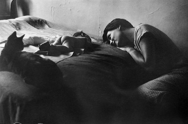 Elliott Erwitt: Personal Best / エリオット・アーウィット | 百年