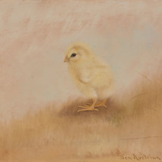 Ben Austrian