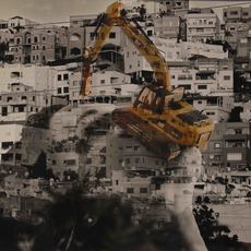 Manal Mahamid