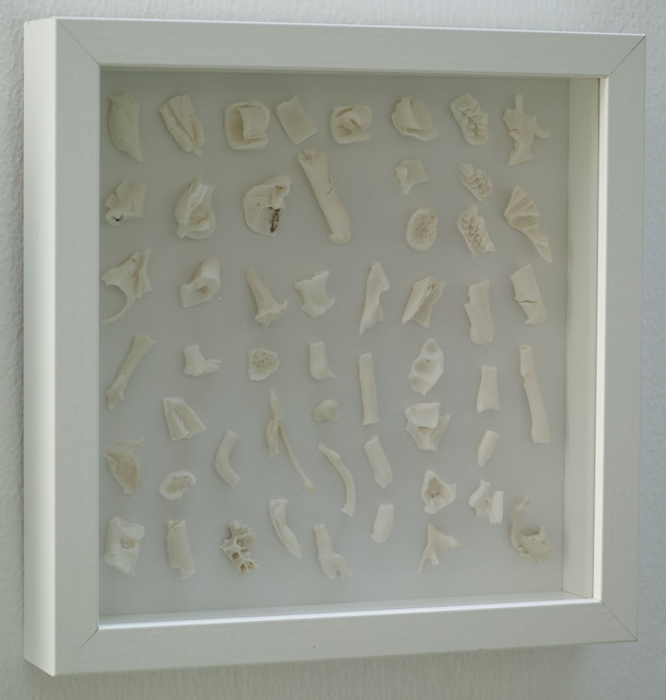 , '干燥植物 Herbarium ,' 2017, Amy Li Gallery