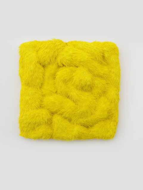 Wu Wei, ‘Pelage’, 2017, XC.HuA Gallery