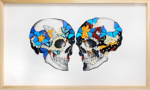 SN, ‘Double Skull ’, 2019, Painting, Charcoal and pencil drawing on paper with mounted butterflies., Eden Fine Art