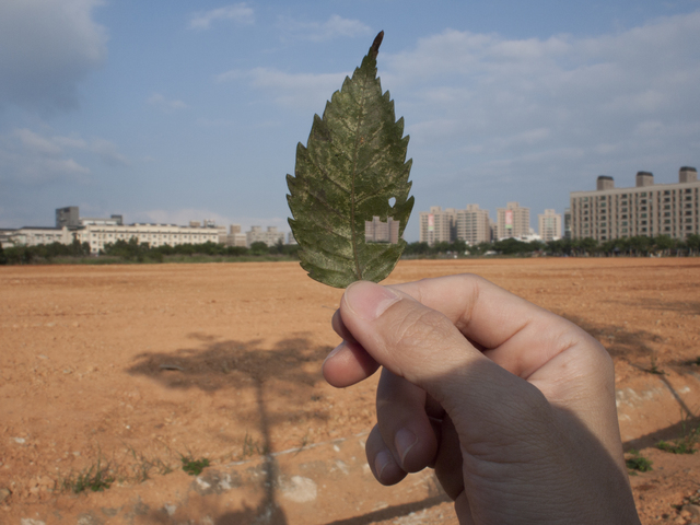 Yahui Wang, ‘Leaf holes no.1 ’, 2011, TKG+