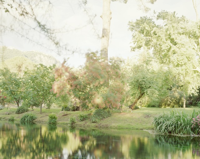 Elger Esser, ‘Ninfa, Ouia, 2013’, 2013, Photography, Directprint, AluDibond, Shellac, ROSEGALLERY