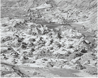 Bear Cove, Spirit Lake, Mount St. Helens