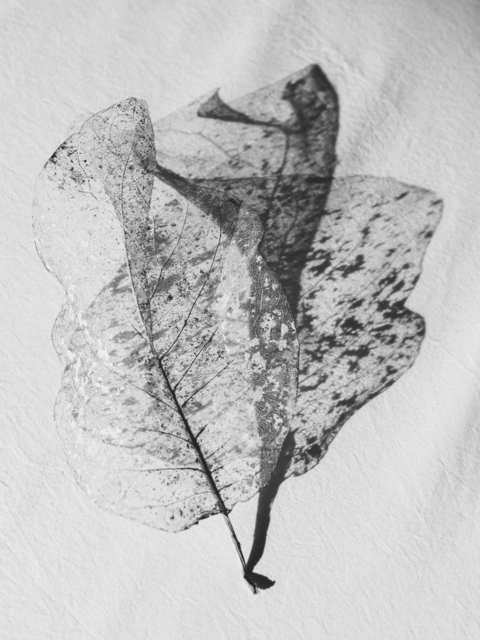 Robbie Lawrence - Artworks for Sale & More | Artsy