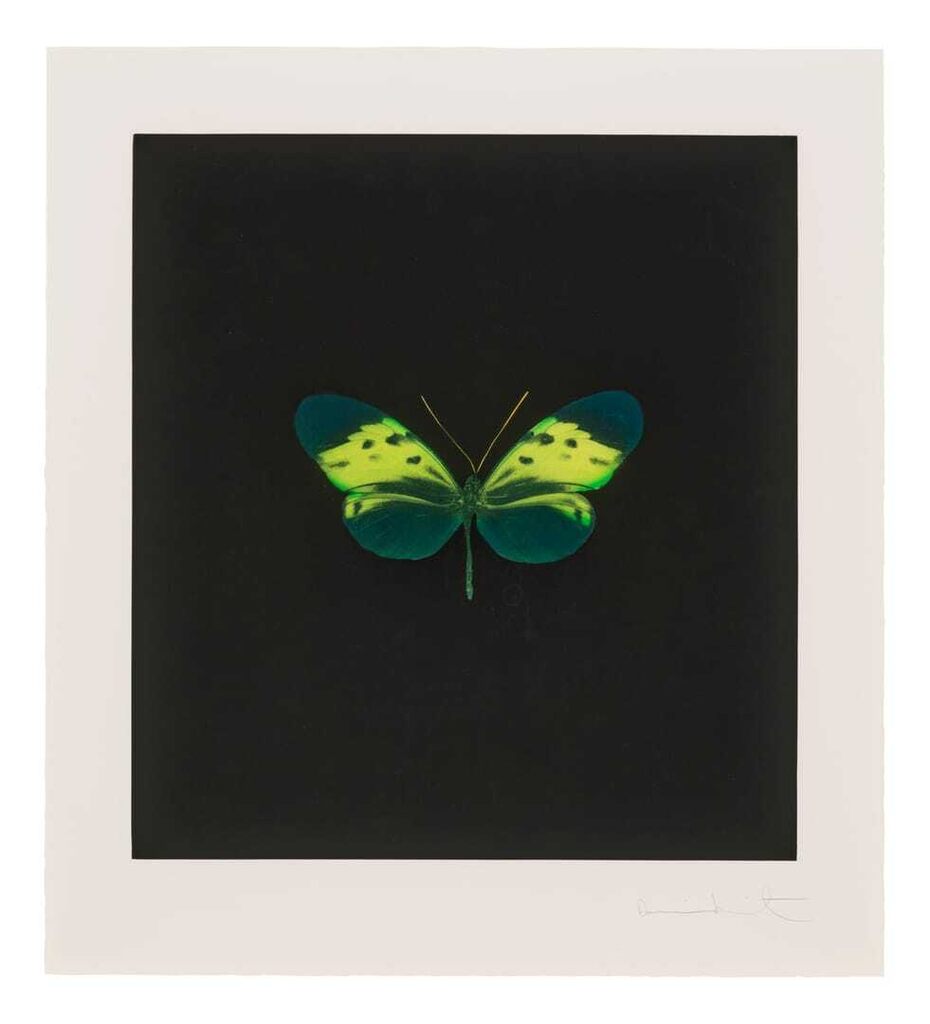 Damien Hirst - Plate 4, from: The Souls on Jacob's Ladder Take Their Flight