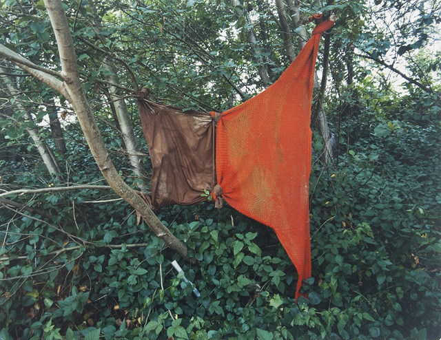 Eirik Johnson, ‘Untitled (#13 Red Sweater tied to brown shirt)’, 2004, Photography, C-Print, Museum of Contemporary Photography (MoCP)