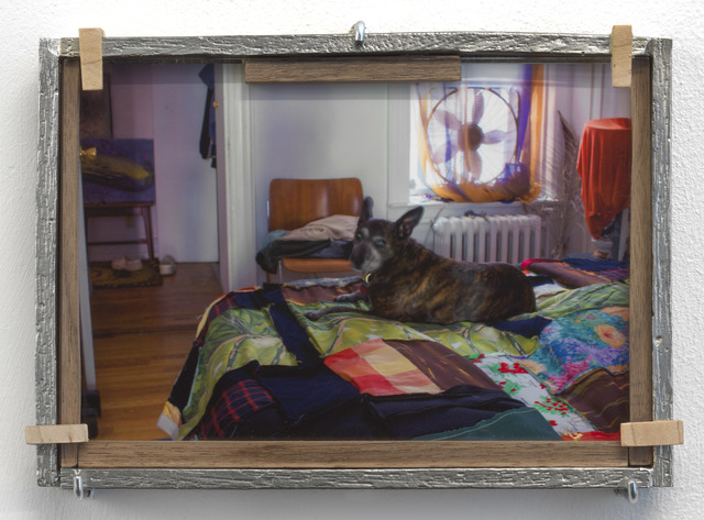 Em Rooney, ‘Cazador with RJ's Quilt’, 2019, Photography, Digital c-print, cast pweter frame, walnut, glass, Galerie Fons Welters