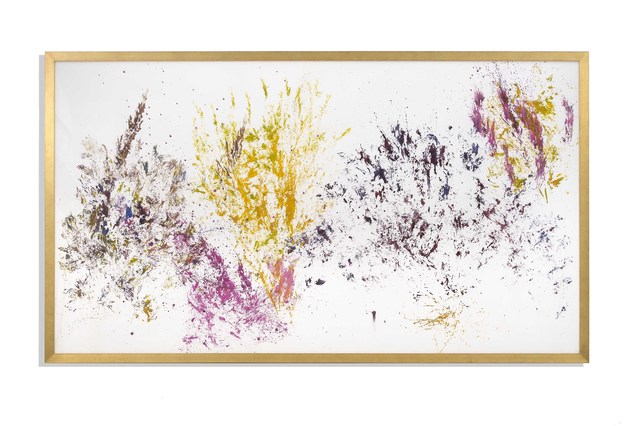 Maria Thereza Alves, ‘Unrejected Wild Flora’, 2016, Alfonso Artiaco