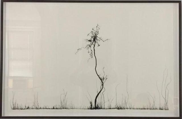 Mahmoud Hamadani, ‘Untitled (Traces)’, 2016, Mark Hachem Gallery