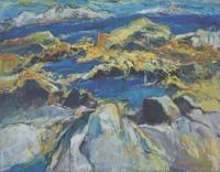 Tidal pools, Monhegan