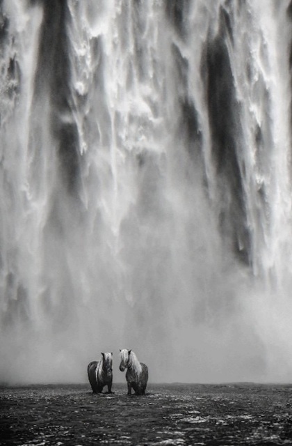David Yarrow, ‘The Dream ’, 2018 , Maddox Gallery