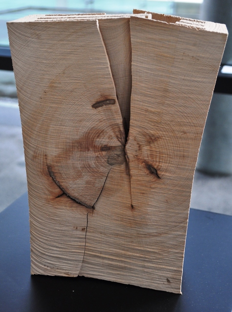 Urs P.-Twellmann, ‘Buche Sechlagig’, 2016, GALERIE URS REICHLIN