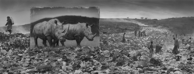Nick Brandt, ‘'Wasteland with Rhinos' Kenya’, 2015, Photography, Archival Pigment Print on Fine Art Paper, Blue Lotus Gallery