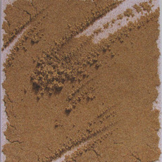 Kim Chang Young