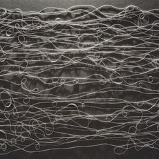 Christiane Feser