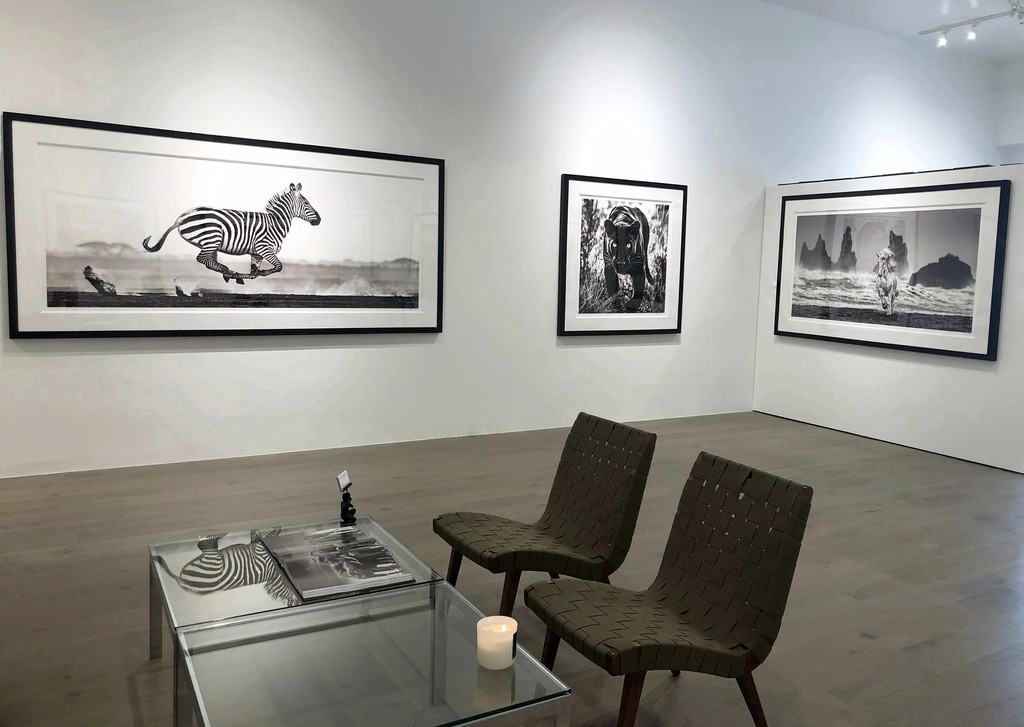 David Yarrow: Off Road & After Hours: Dessert Flight, Amboseli, Kenya, 2014; Wakanda, 2019; White Horses, Iceland, 2018 David Yarrow: Off Road & After Hours: Dessert Flight, Amboseli, Kenya, 2014; Wakanda, 2019; White Horses, Iceland, 2018