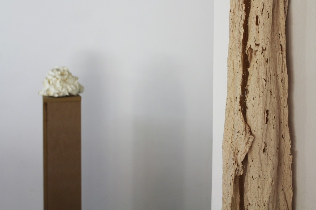 To be titled by João Freitas, Exhibition view, Galleria FuoriCampo, Siena To be titled by João Freitas, Exhibition view, Galleria FuoriCampo, Siena