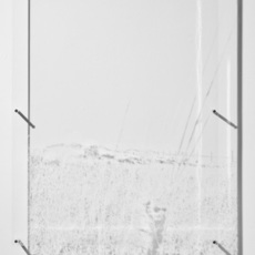 Joanne Lefrak